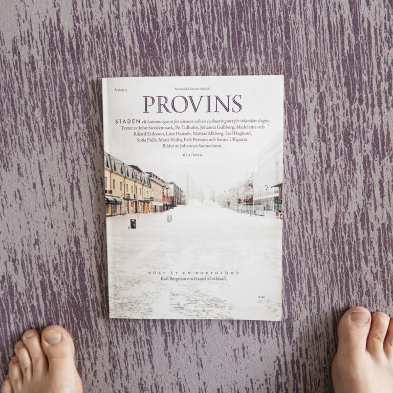 Provins – Norrländska städer